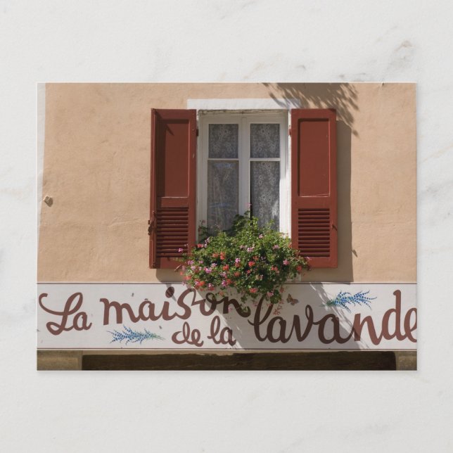 Maison de la Lavande, Place du Couwert, Postcard (Front)