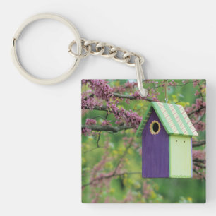Maison d'oiseau sur un arbre Redbud