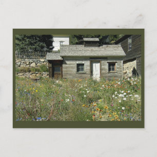 Maison rustique en Fleur sauvage Carte postale