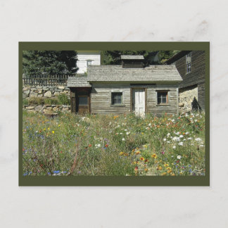 Maison rustique en Fleur sauvage Carte postale