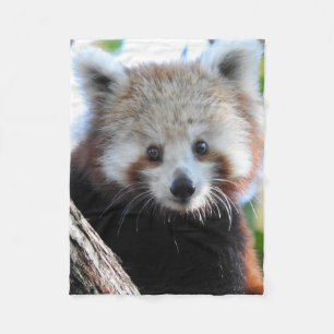 Maiya The Red Panda Fleece Blanket