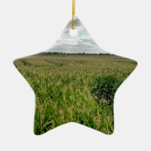 Maize maze ceramic ornament