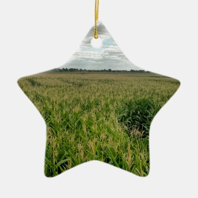 Maize maze ceramic ornament (Front)