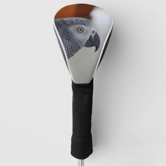 Majestic African Grey Parrot Golf Head Cover (Front)