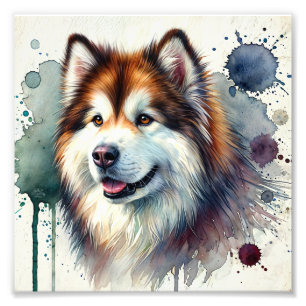 Majestic Alaskan Malamute Watercolor Art Photo Print