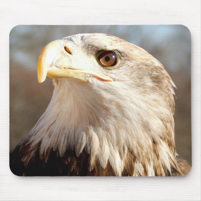 Majestic American Eagle Mouse Pad (Front)