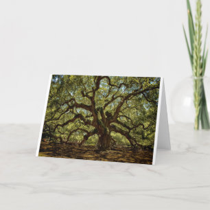 Majestic Angel Oak Card