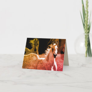 Majestic Arabian Stallion Carte de note