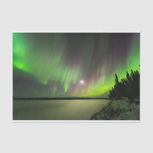 Majestic Aurora Tissue Paper (Front)