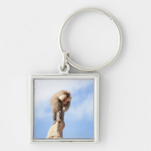 Majestic Baboon on Mountain Peak Keychain