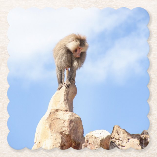 Majestic Baboon on Mountain Peak Paper Coaster (Front)