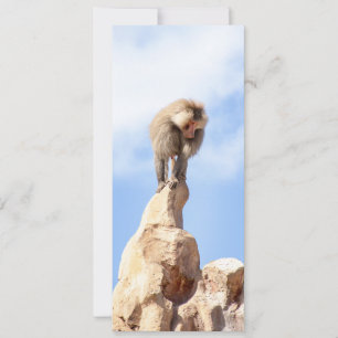 Majestic Baboon on Mountain Peak Save The Date
