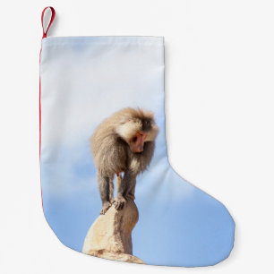 Majestic Baboon on Mountain Peak Small Christmas Stocking