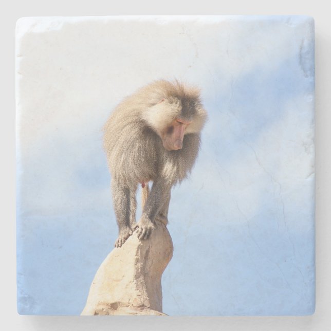 Majestic Baboon on Mountain Peak Stone Coaster (Front)