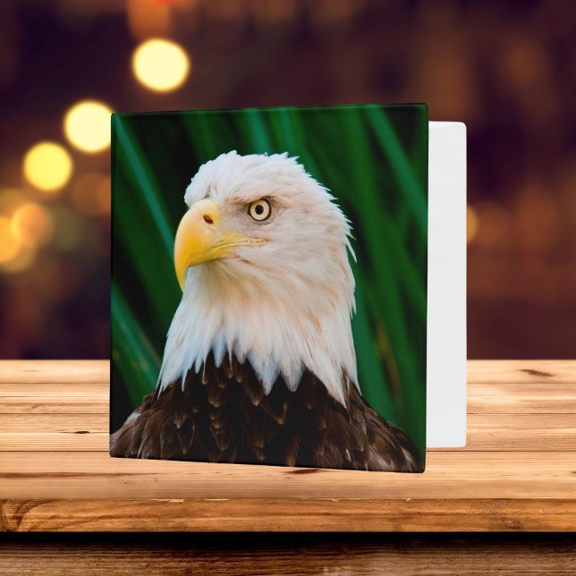 Majestic Bald Eagle Binder (Majestic Bald Eagle 3 Ring Binder)