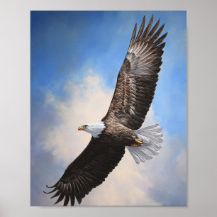 Majestic Bald Eagle in Flight  Poster