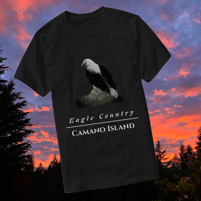 Majestic Bald Eagle Perched on a Rock T-Shirt (Creator Uploaded)