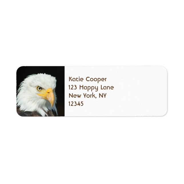 Majestic Bald Eagle Portrait (Front)