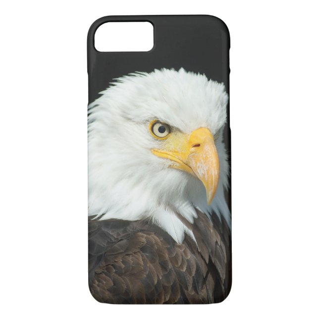 Majestic Bald Eagle Portrait Case-Mate iPhone Case (Back)