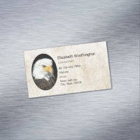 Majestic Bald Eagle Portrait