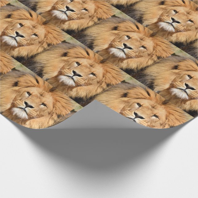 Majestic, Beautiful, Regal Lion Wrapping Paper (Corner)