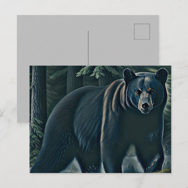 Majestic Black Bear Of The North Woods Postcard (Front/Back)
