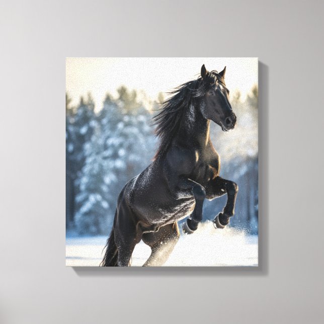 Majestic Black Stallion in Winter Snow  Canvas Print (Front)