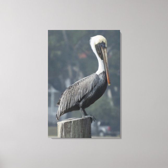 Majestic Brown Pelican on Wooden Post Canvas Print (Front)