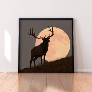 Majestic Bull Elk and Full Moon Rise Poster