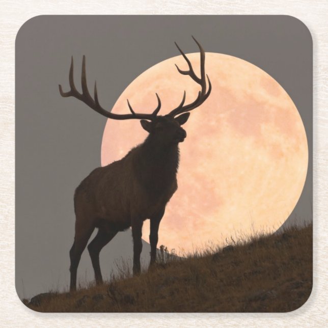 Majestic Bull Elk and Full Moon Rise Square Paper Coaster (Front)