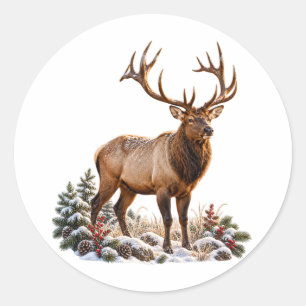 Majestic Bull Elk Christmas Winder Wildlife Classic Round Sticker