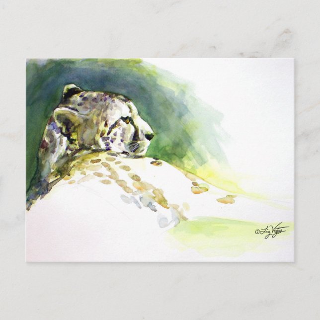 Majestic Cheetah Postcard (Front)