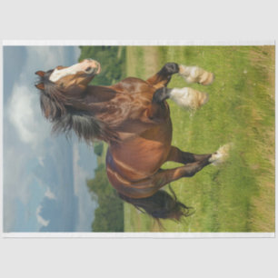 Majestic Chestnut Clydesdale Horse Decoupage Tissue Paper