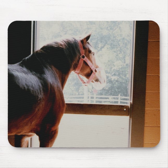 Majestic Clydesdale Mouse Pad (Front)