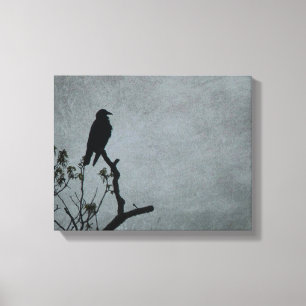 Majestic Crow Canvas Print