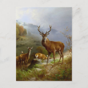 Majestic Deer ~ Postcard