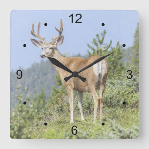 Majestic Deer Square Wall Clock
