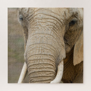 Majestic Elephant Close-Up Nature's Giants Jigsaw Puzzle