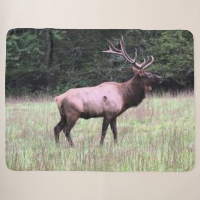 MAJESTIC ELK SHERPA BLANKET (Front (Horizontal))