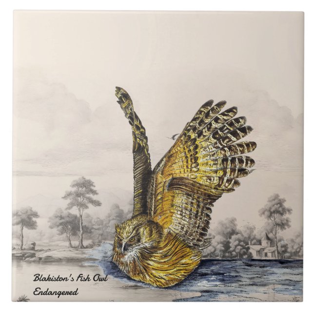 Majestic Endangered Blakiston's Fish Owl(Bird) Tile (Front)