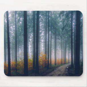 Majestic Forest Tree Lined Path Mouse Pad