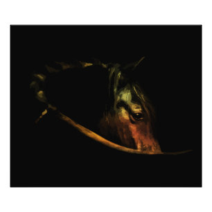 Majestic Gaze: Fine Art Horse Portrait Photo Print