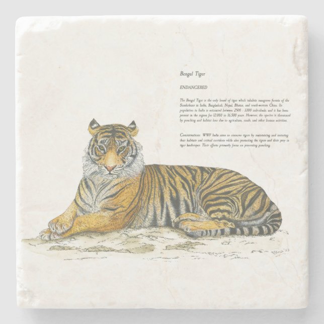 Majestic Hand-Painted Bengal Tiger Stone Coaster (Front)