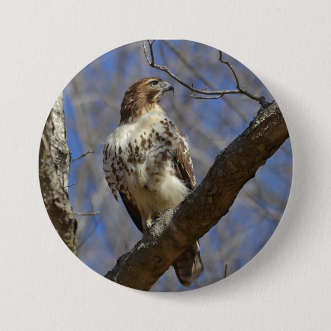 Majestic Hawk 3 Inch Round Button (Front)