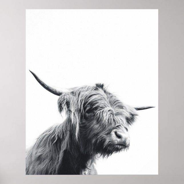 Majestic Highland cow black and white Poster (Front)