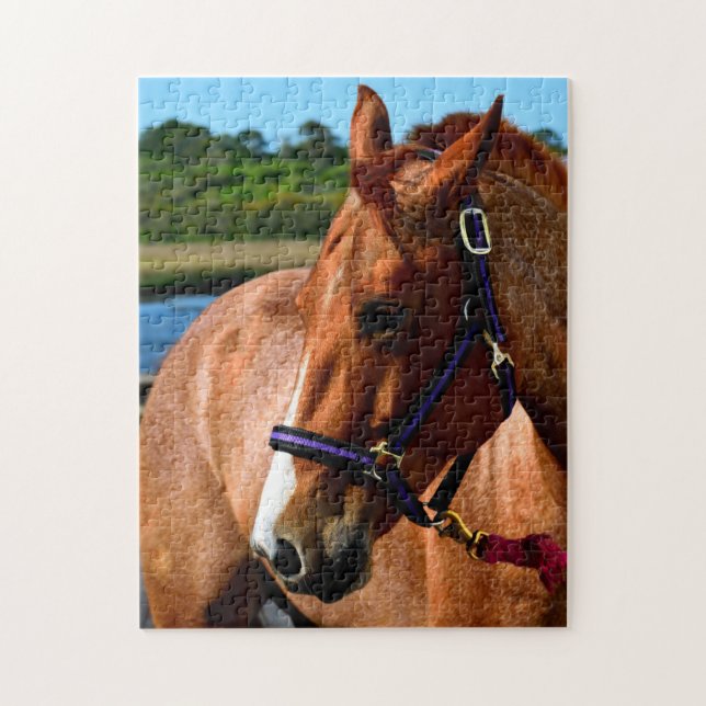 Majestic horse jigsaw puzzle (Vertical)