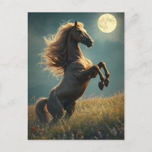 majestic horse postcard