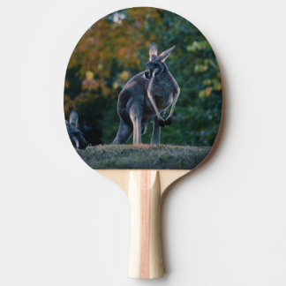Majestic Kangaroo Ping Pong Paddle