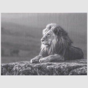 Majestic Lion Black and White Decoupage Tissue Paper