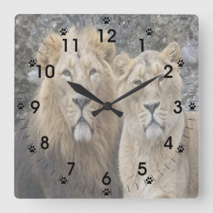 Majestic Lion Couple Square Wall Clock